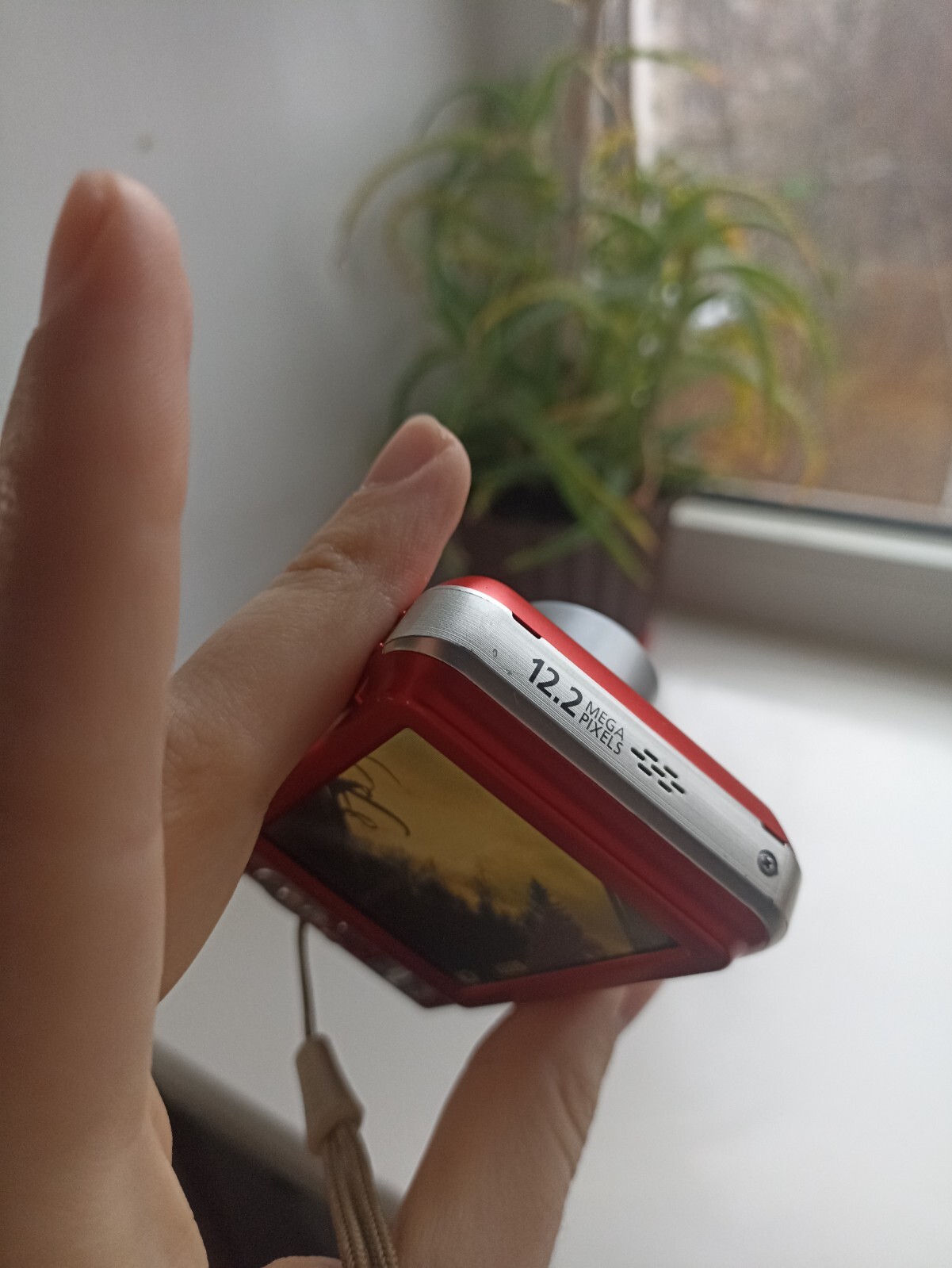 Foto 7 di 7