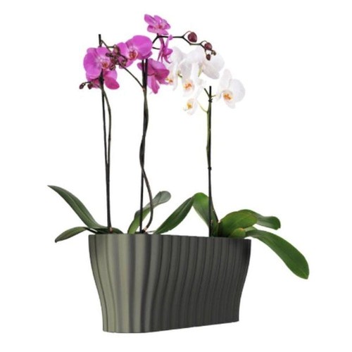 Orchideentopf Blumen Kasten Übertopf f. mehrere Pflanzen Kunststoff durchsichtig - Bild 8 von 14