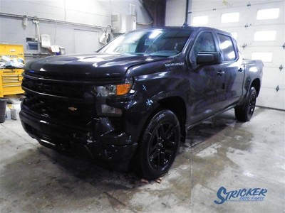 2022 Silverado 1500 ID-24045386 TCM 1159086 | eBay