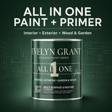 Evelyn Grant All-IN-ONE Paint & Primer Multi-Surface Paint Interior And Exterior