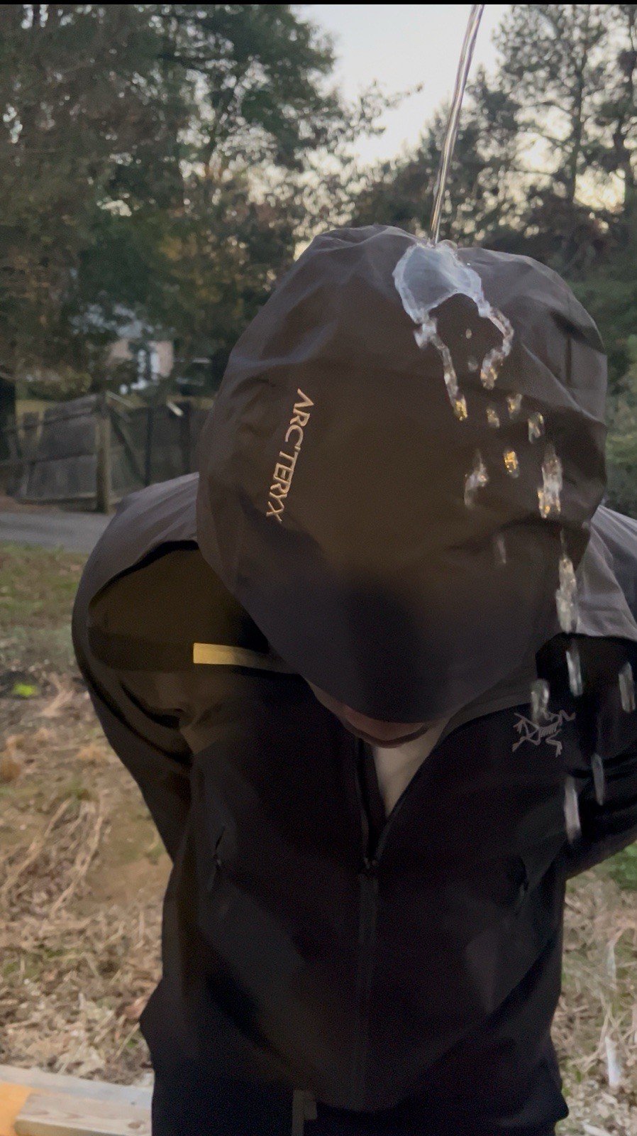 Arc'teryx Men's Black Hooded Full Zip Puffer Jacket Gore-Tex Infinium L - second product detail image