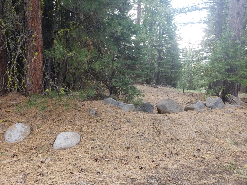 MONTAÑA CALIFORNIA 1 ACRE CON PINOS PONDEROSA Foto 2 de 4