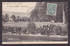 Postcard, CANADA, Montreal, Westmount Park