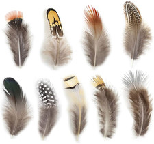 180Pcs 9 Styled Natural Feathers Assorted Mixed Feathers for Jewelry and Dream C