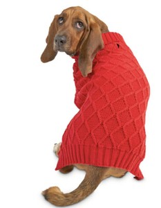 bond co dog clothes