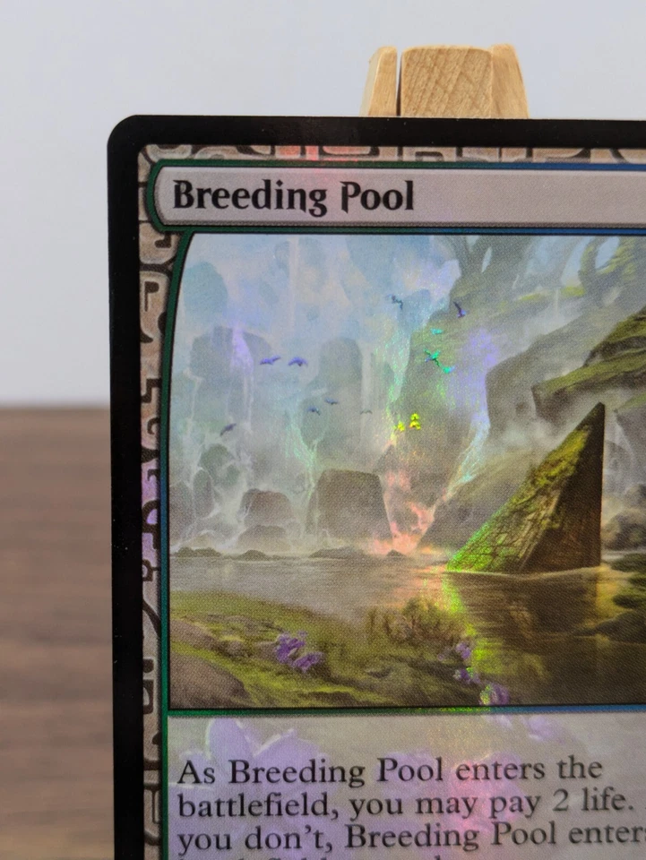 Breeding Pool Foil Zendikar Expeditions Magic The Gathering MTG Card Holo Land - Image 3 of 4