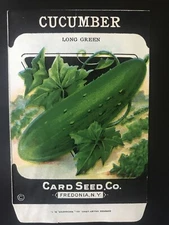 1920s Litho Antique Vintage Card Seed Co. Packet Pack Cucumber long green unused