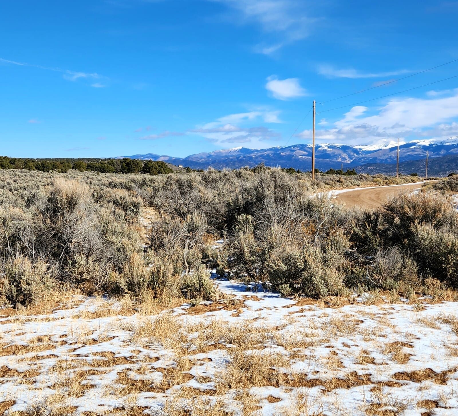 Colorado Land For Sale BID FOR DOWN PAYMENT & 347.22 a Month 0 360