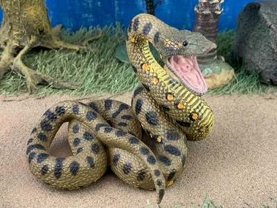 CollectA 2014 No. 88688  Green Anaconda  Snake Plastic Model  Wildlife  Figurine