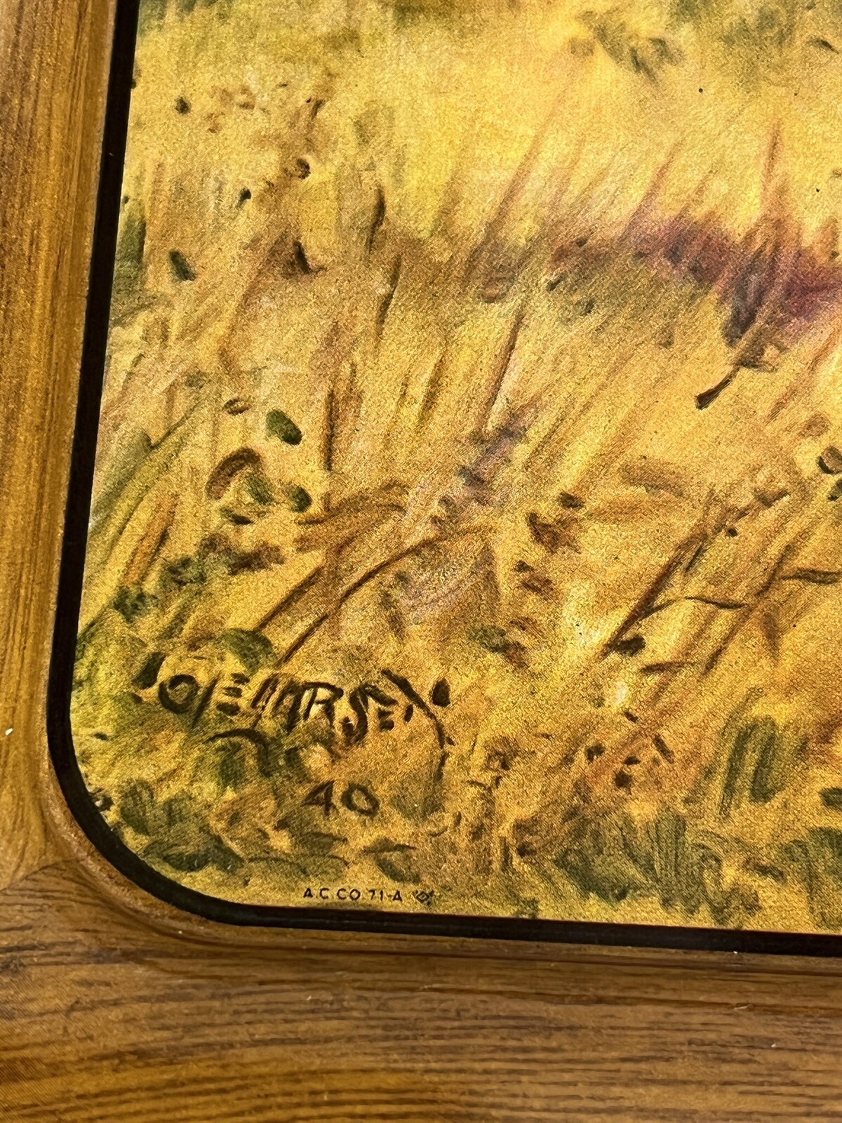 Picture 5 of 17