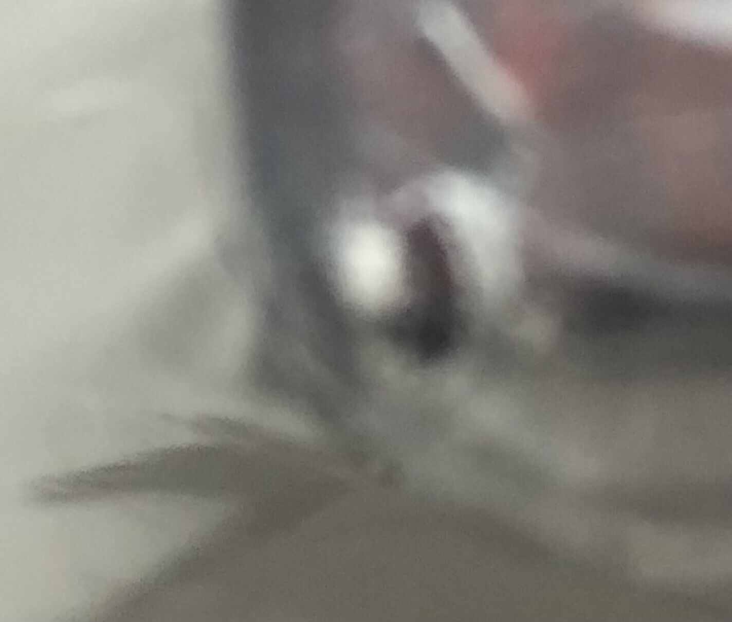 Picture 9 of 10