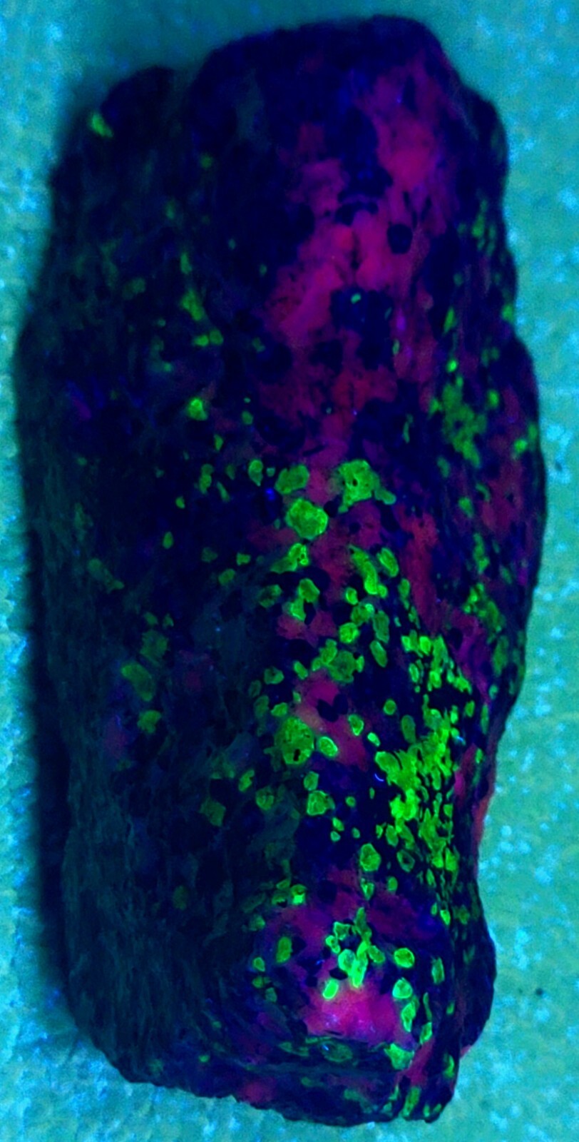 Picture 2 of 17