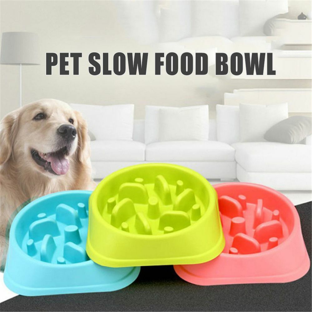 puzzle bowl for small dogs