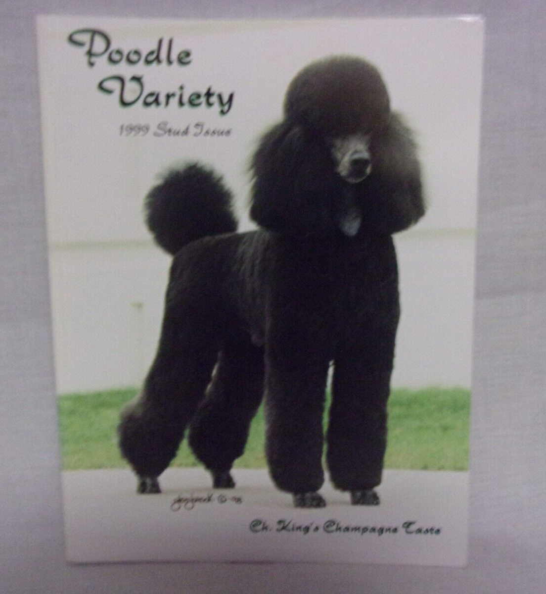 Paul Redding Silver Toy Poodle Breeders Paul Redding Outlet Toy - Main Image