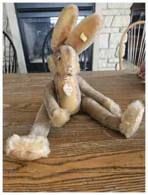 1950's Steiff Mohair Lulac Bunny Rabbit with All I.D. | eBay