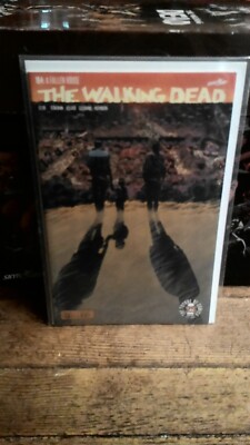 The Walking Dead #164 (Image Comics Malibu Comics February 2017)