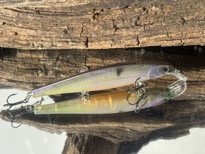 Custom Painted KO LC 97MR Slender Pointer Jerkbait