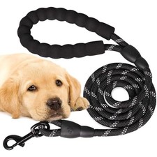 PARENCE.- Laisse pour Chien 120 cm Noir – Corde Robuste avec Poignée Rembourr...