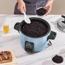 Commercial Rice Cooker 60-Cup Non-Stick Pot 13L 24H Keep Warm Restaurant, Blue