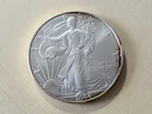 2004  American Silver Eagle ASE .999 Fine Silver 1 Troy Oz BU Bullion Coin 🔥