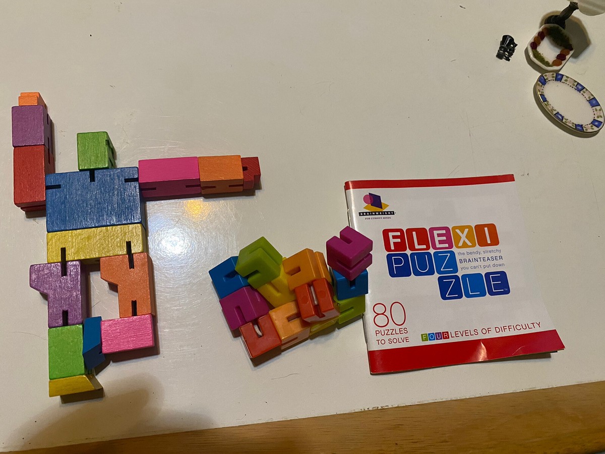 Brainwright FLEXI PUZZLE Cube Bendy Stretchy 3D Brain Puzzle 80 Puzzles