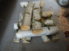 Knabberholz Pferde Pferdespielzeug Kirsche Haselnuss Birke