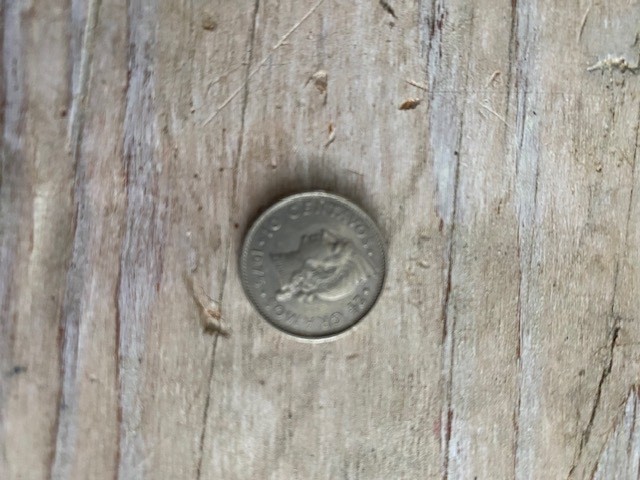 1975 Dominican Republic 10 Centavo Coin