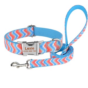 blue dog collar and lead