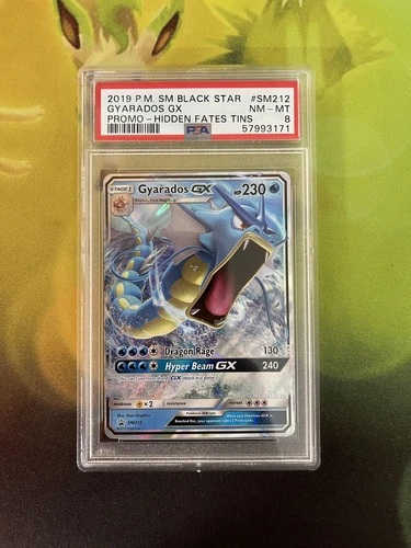 Raichu DP Black Star Promos #DP21