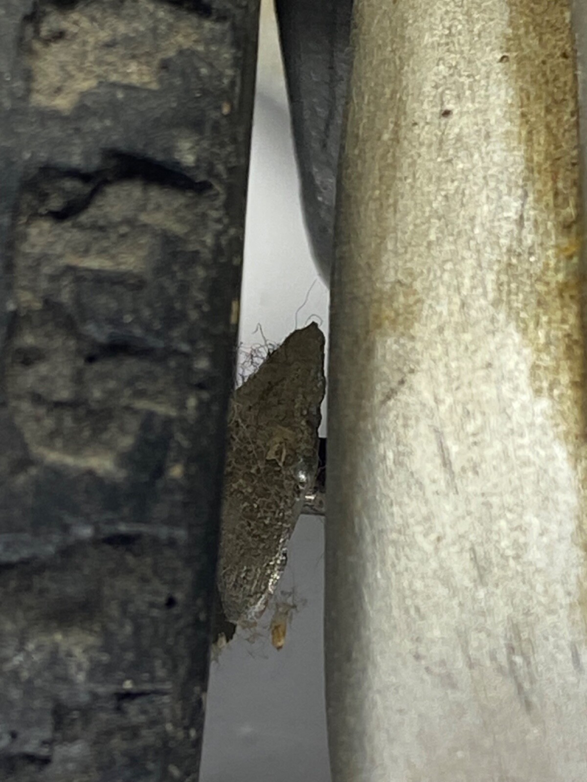 Picture 11 of 21