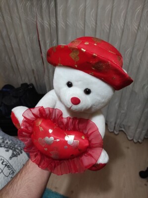 bear teddy
