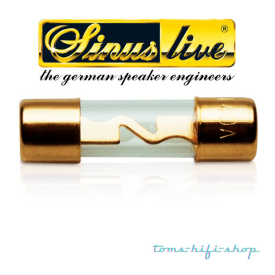 SinusLive 40 Ampere AGU Sicherung SG Glassicherung für Auto Sicherungshalter 40A