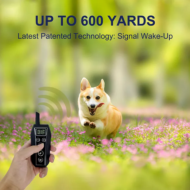 Positivo Costantemente Costruttore Collare Elettrico Per Cani Come Funziona Amaz - Foto 6