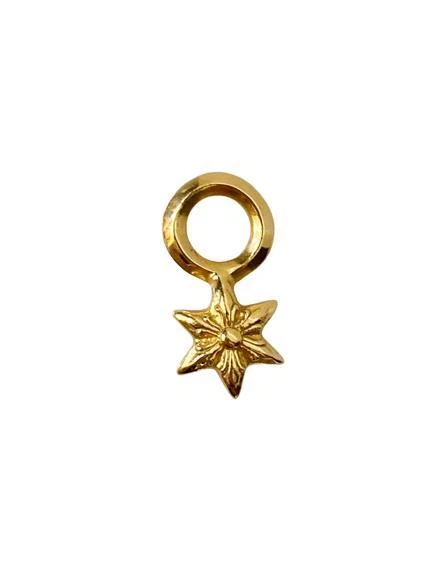 Chrome Hearts Stack Star 22K 22 Gold Precious Metal Top