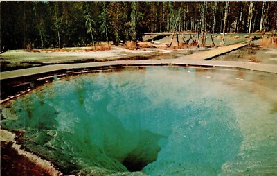 Yellowstone National Park Morning Glory Pool Upper Geyser Basin Vtg WY Postcard