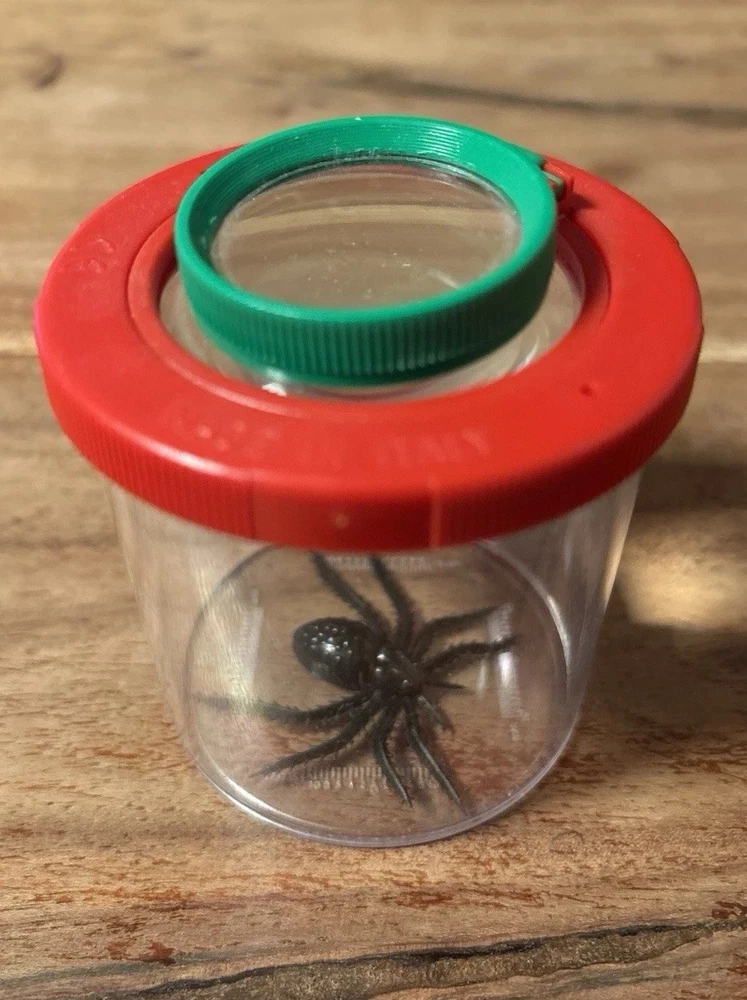 Observation Insektenlupe, Rot / Grün, Lupe für Kinder