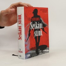 Setkání stínů  |  Lukáš Houdek