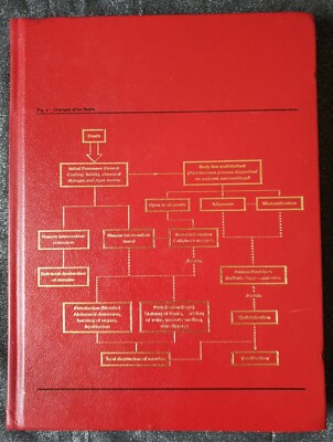 Damien Hirst: Theories,Models,Methods,Approaches, Assumptions,Results & Findings