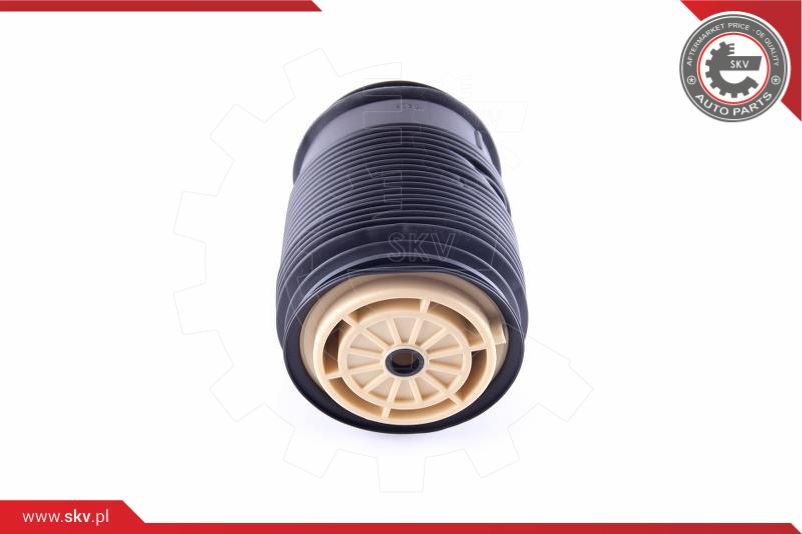Air Spring Bellows Rear Left Skv for Mercedes-benz CLS (C218, X218) E-Class