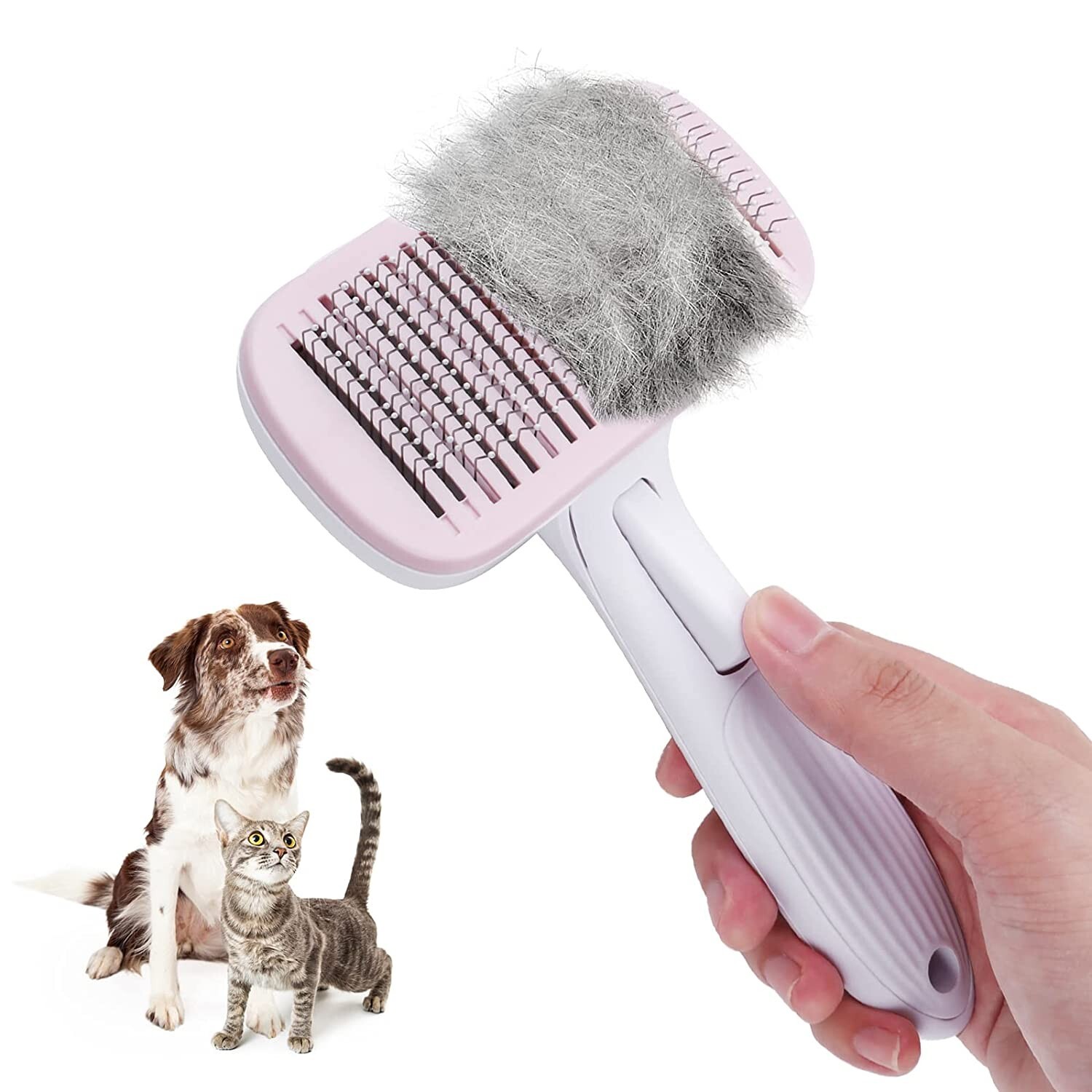 How Do You Disinfect Dog Grooming Tools