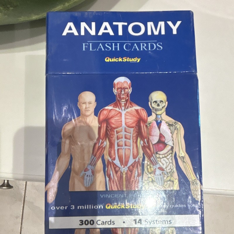 QuickStudy Anatomy Flash Cards 300 Laminated Illustrated Cards, Perez 2016