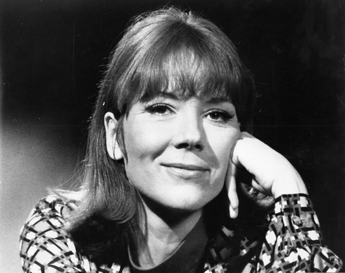 DIANA RIGG THE AVENGERS TV SHOW 8X10 PHOTO Z1666 - 第 1/1 張圖片