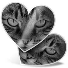 2 x Heart Stickers 15 cm - BW - Beautiful Eyes Cat Kitten Animals #40990