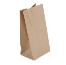 5lb Large Paper Bags Brown/White