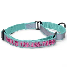 Reflective Personalized Martingale Dog Collar – Customized for Puppy S M L