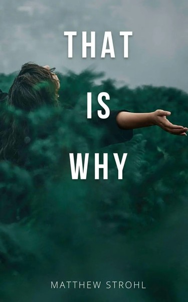Matthew Strohl | That Is Why | Taschenbuch | Englisch (2023) | EAN 9789357612876-image
