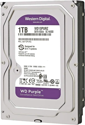 HARD DISK Purple 1 TERA Western Ddigital videosorveglianza 1000 Gb WD11PURZ