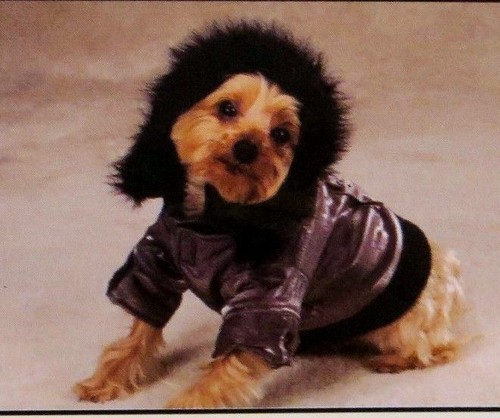 Zack & Zoey: Tahoe Jacket, Couture Hoodie, Camo Jumpsuit, Camo Pink Jacket BNWT - Picture 8 of 29