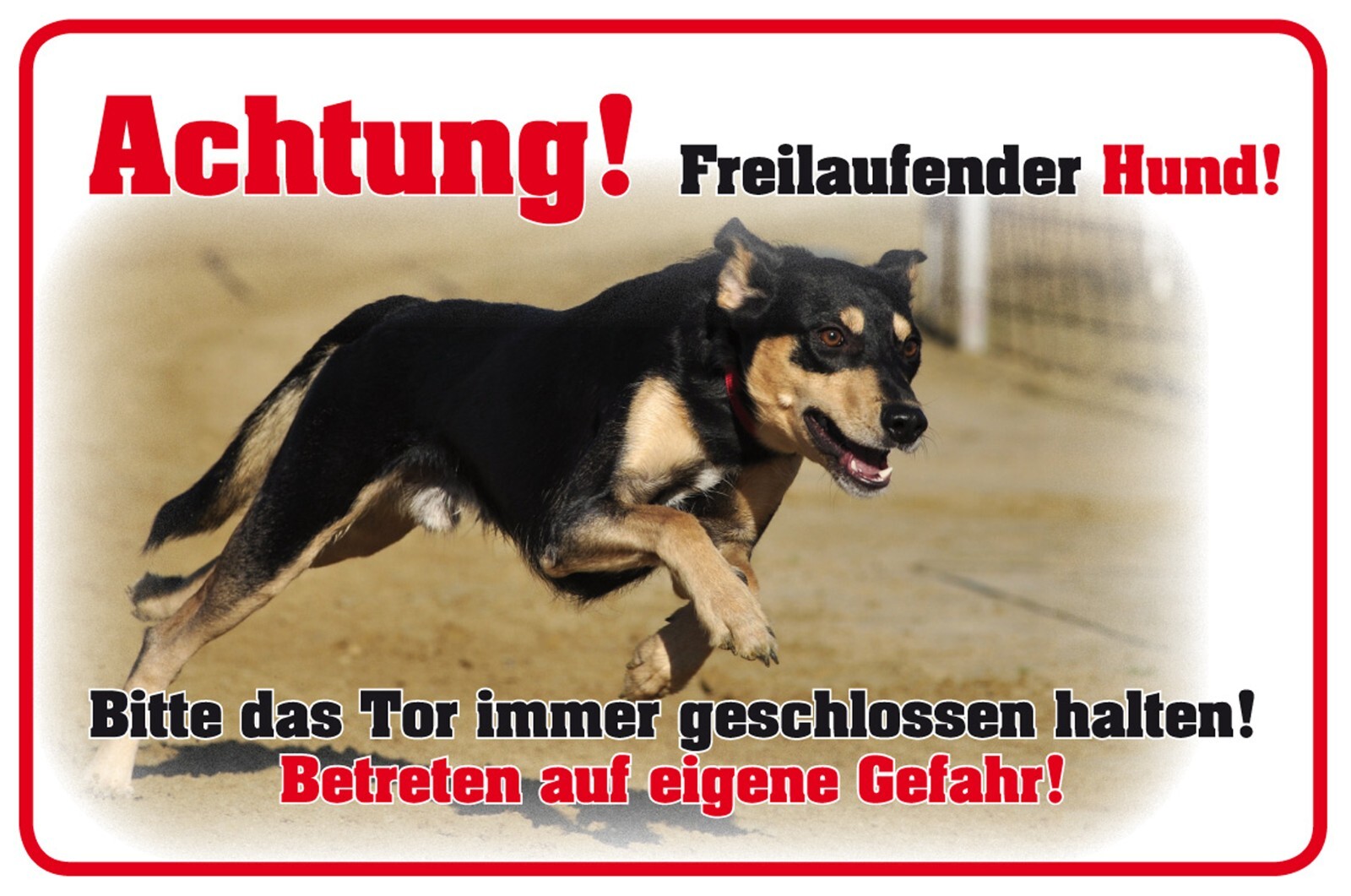 Bild 1 von 1