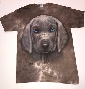 The Mountain Chocolate Labrador Puppy Face T Shirt New Small Ebay